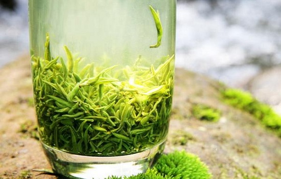 喝绿茶能降血压吗？