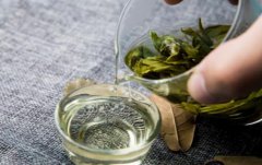 茶叶-绿茶的特点与功效及禁忌