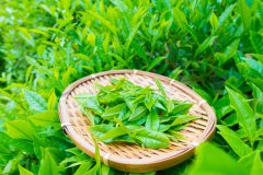 【茶知识】专家评出5种最佳减肥饮料 绿