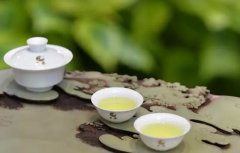 茶_多喝绿茶功效 能缓解风湿性关节炎