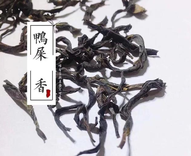 在广东潮州，有一种茶叫“鸭屎香”