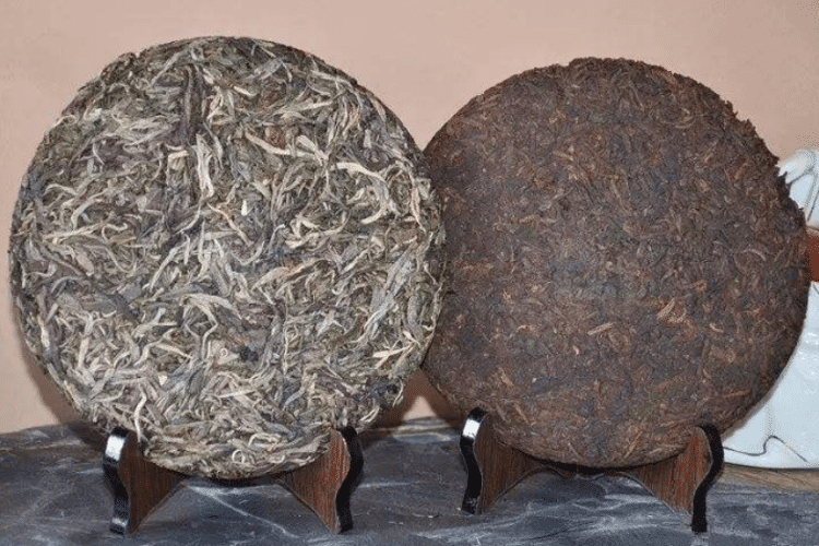 普洱茶生茶和熟茶有什么区别，哪种茶叶比较好？