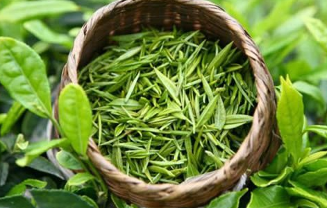 紫笋茶是什么茶 紫笋茶的功效和作用