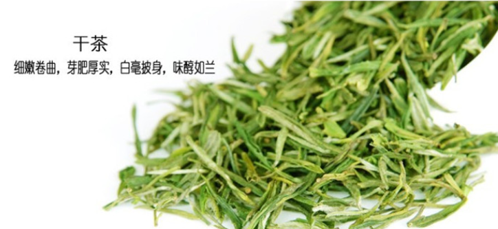 【绿茶】黄山毛峰茶汤香气