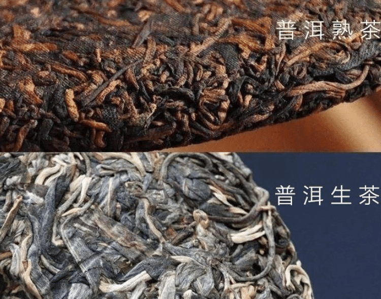 【茶文化】普洱生茶熟茶区别（很多不同点！）