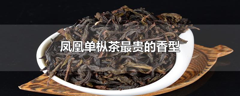 凤凰单枞茶最贵的香型？