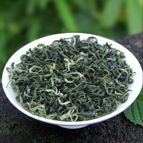 贵州名茶排行榜前十名（贵州名茶有哪些品种）