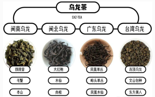  乌龙茶都有哪些品种？（ 乌龙茶都有那些？）