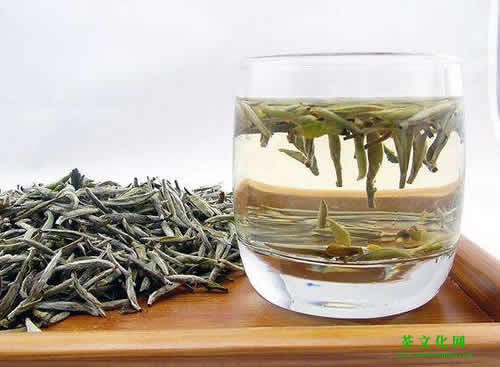 绿茶和白茶哪个更好