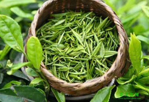 绿茶都包括什么茶 什么绿茶对品质好