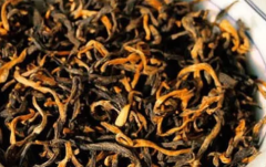 古树红茶的功效与作用（解毒排毒！）