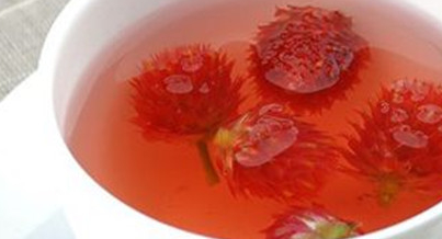 【茶】红巧梅的功效与作用（红巧梅的营养成分！）