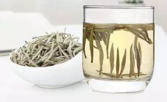茶文化-白茶的功效与作用有哪些？