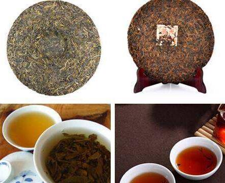 普洱生茶和普洱熟茶的区别在哪里？哪个更好？（收藏）