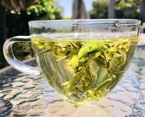 【茶知识】滇绿茶与绿茶的区别