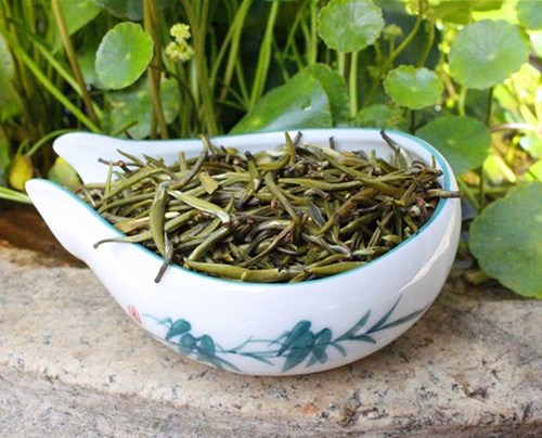 【茶知识】滇绿茶与绿茶的区别