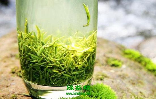 【茶知识】绿茶和乌龙茶哪个刮油？绿茶和乌龙茶哪个更好