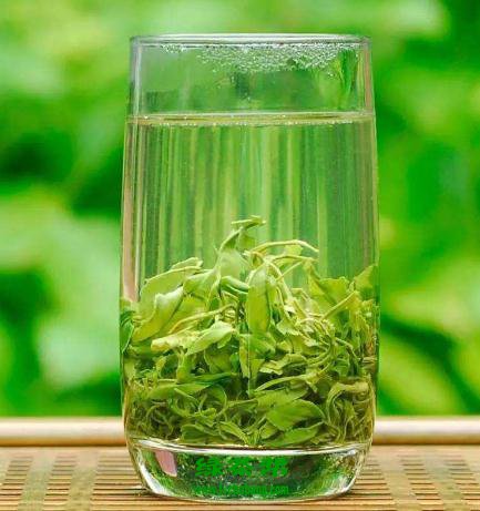【茶功效】喝绿茶叶水的好处和坏处