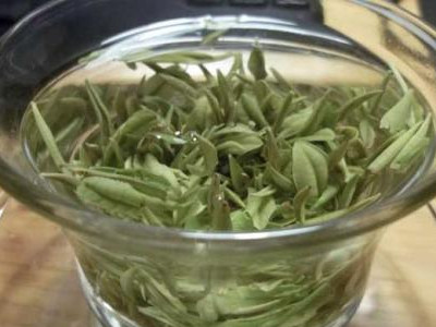 【白茶】溧阳白茶属于什么茶 溧阳白茶的功效与作用