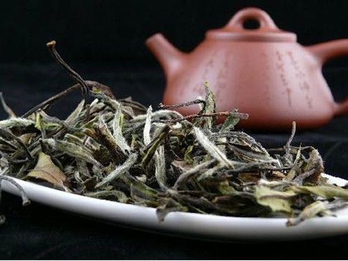 【白茶】白牡丹茶的副作用与禁忌 白牡丹茶不适合什么人喝