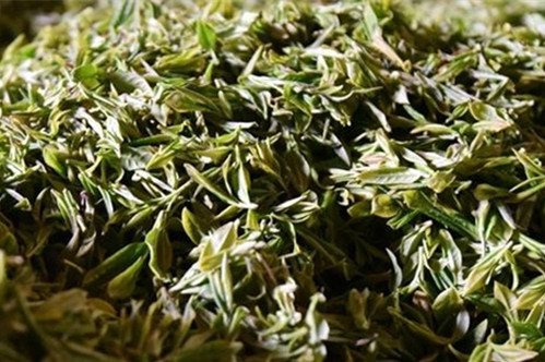 【白茶】东白春芽属于什么茶 东白春芽的功效与作用