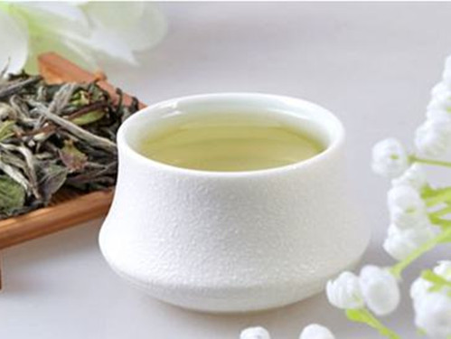 【白茶】福鼎大白茶的功效与作用 喝福鼎大白茶的好处