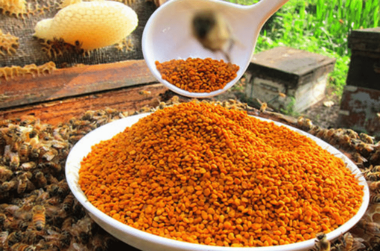 茶花粉多少钱一斤 茶花粉的最新市场价格详情（收藏）