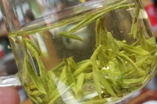2020年乌牛早茶多少钱一斤，春茶乌牛早的采摘上市时间与价格