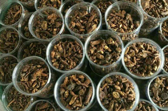 蒲公英根茶多少钱一斤，蒲公英养生茶价格