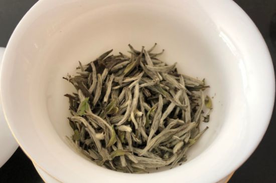 春茶上市白茶的好坏怎么区分，春白茶怎么分辨好不好？