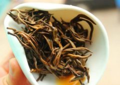 英德红茶属于是明前茶吗？（收藏）
