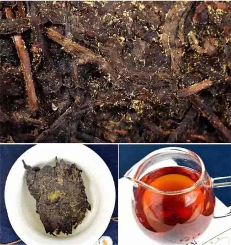 安化黑茶的加工工艺有什么特点