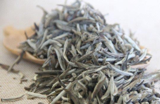 福鼎白茶是属于什么茶类？