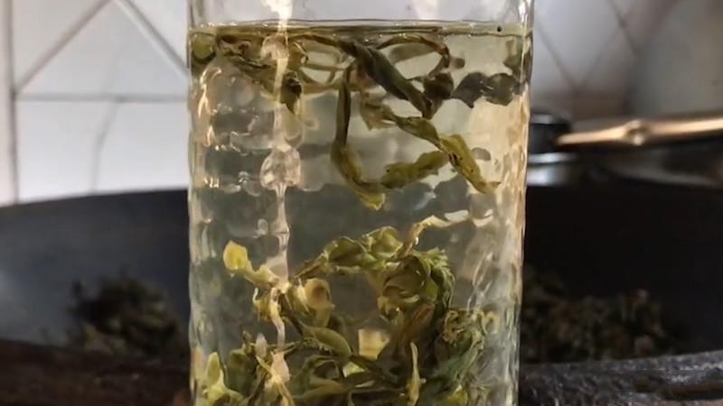 绿茶与红茶的本质区别？