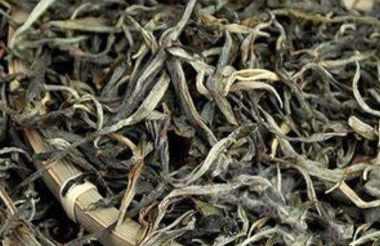 普洱生茶属于什么茶类？