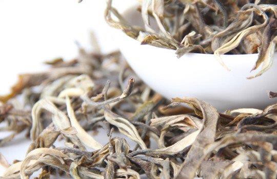 白茶的保质期一般是多久？