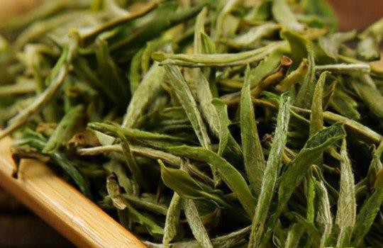 安徽茶叶是什么茶？