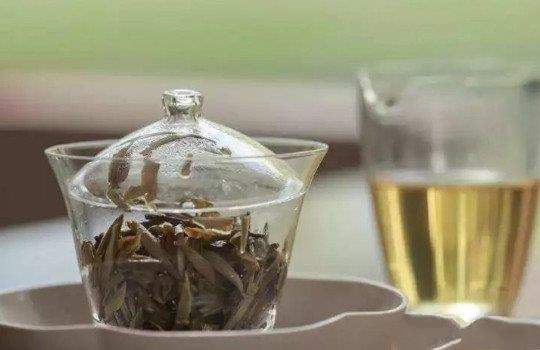 白茶用多少度的水泡最好？