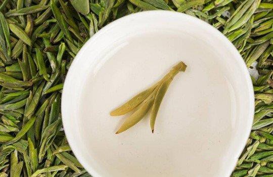 绿茶的保质期一般是多久？
