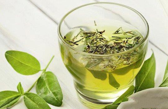 绿茶用多少度的水泡最好？