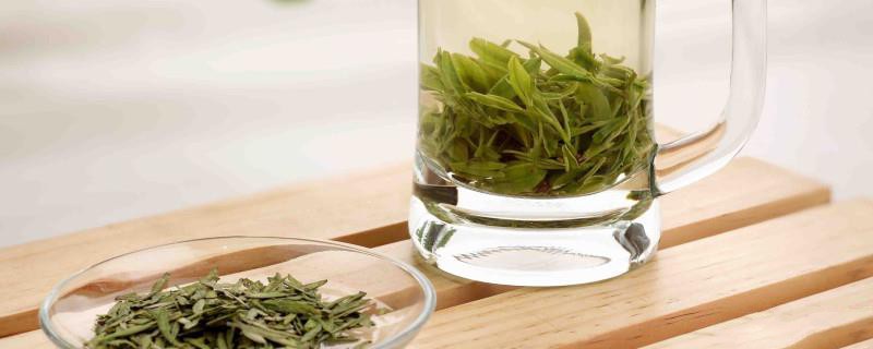 绿茶菊花能一起泡茶吗？