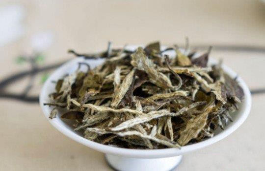 安吉白茶是什么茶？