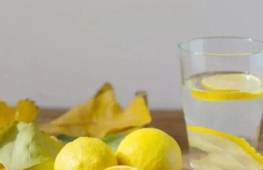 干的柠檬片泡水的正确泡法？