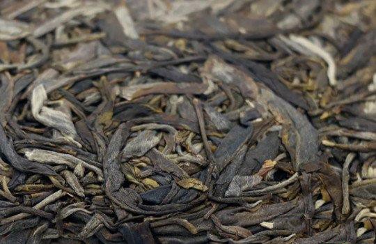 无量山普洱茶属于哪个产区？