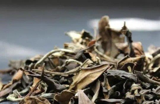 白茶存放多长时间最好喝？