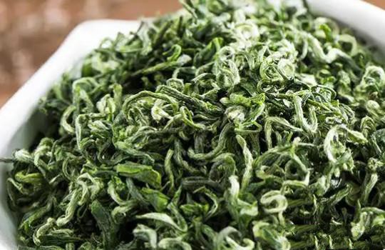 绿茶的种类有哪些？