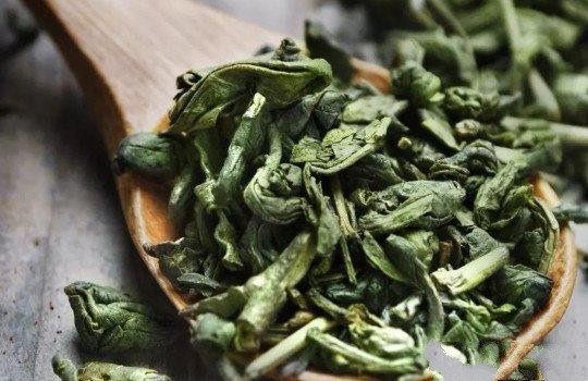 绿茶能放多久？