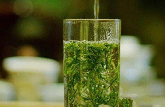 泡绿茶用什么茶具最好？