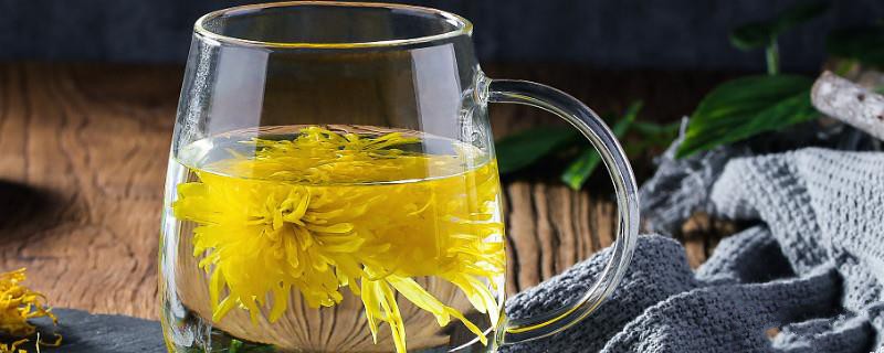 菊花茶是凉性还是热性？