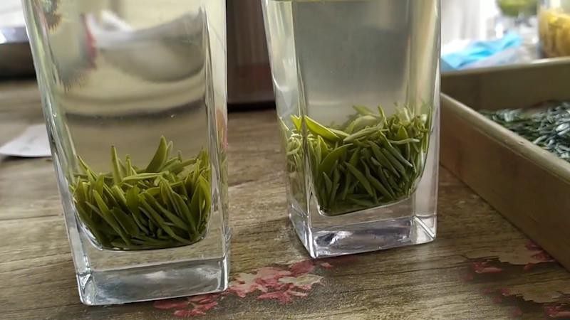 绿茶是什么茶？